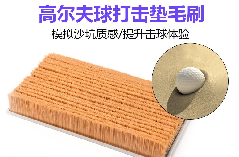 畫板 1(1).jpg